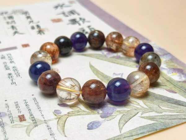 The Convergence Guardian (5) The Convergence Guardian